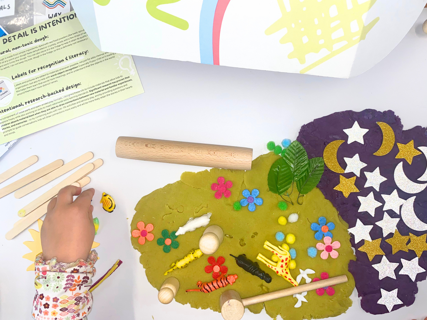 Small Sensory Box & Curriculum Set